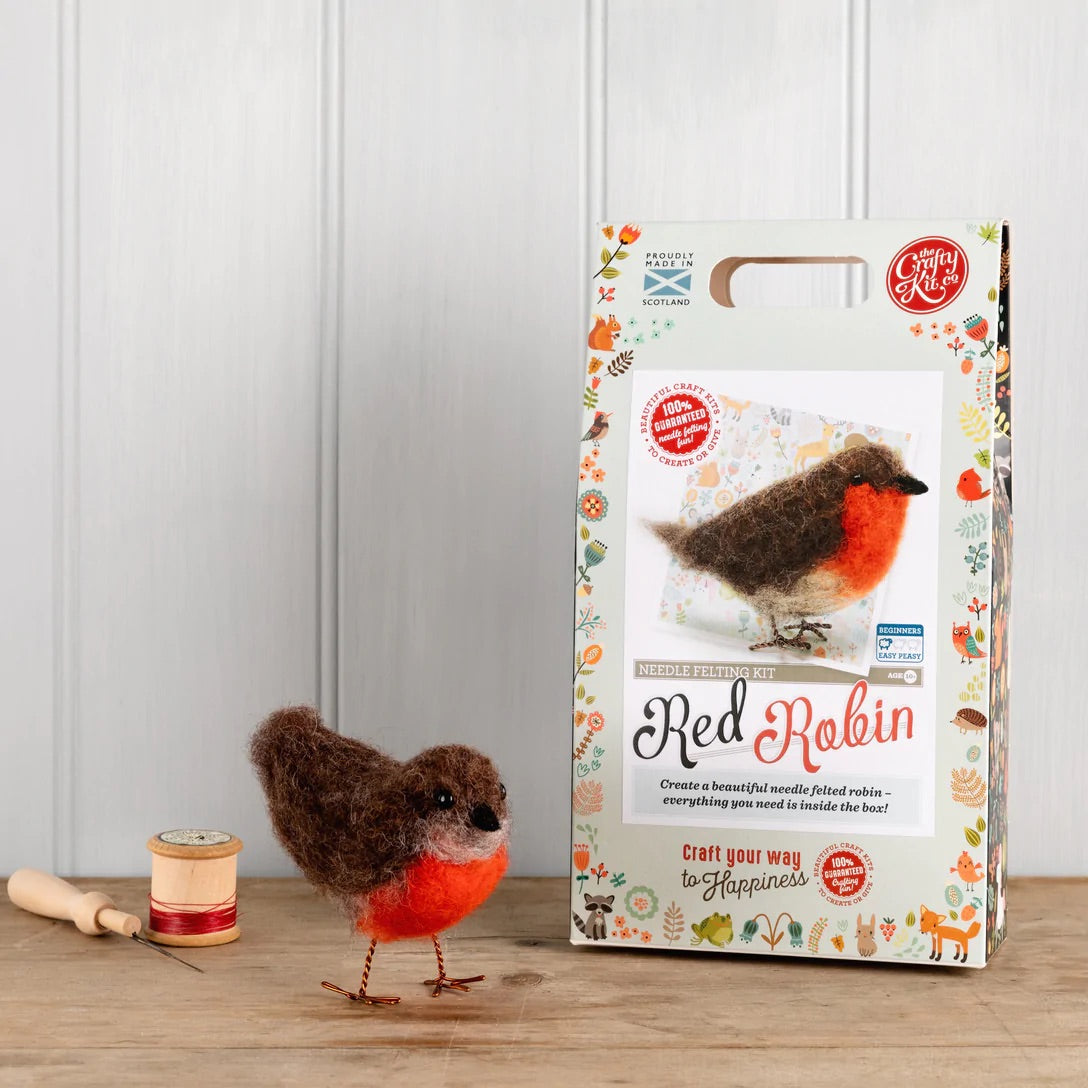 Robin needle felting kit